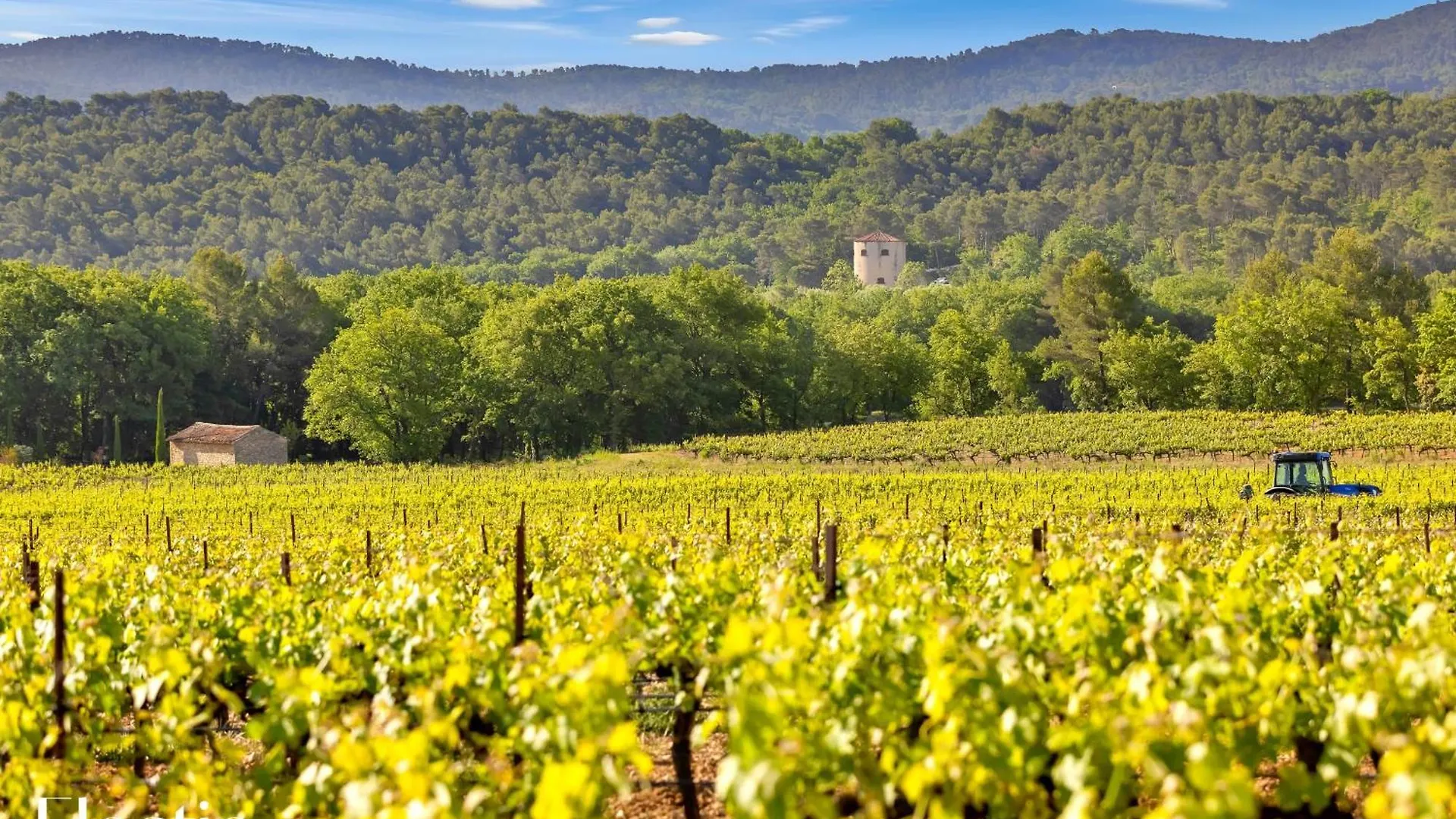 Bastide Domaine Tour Campanets Aparthotel Le Puy-Sainte-Reparade