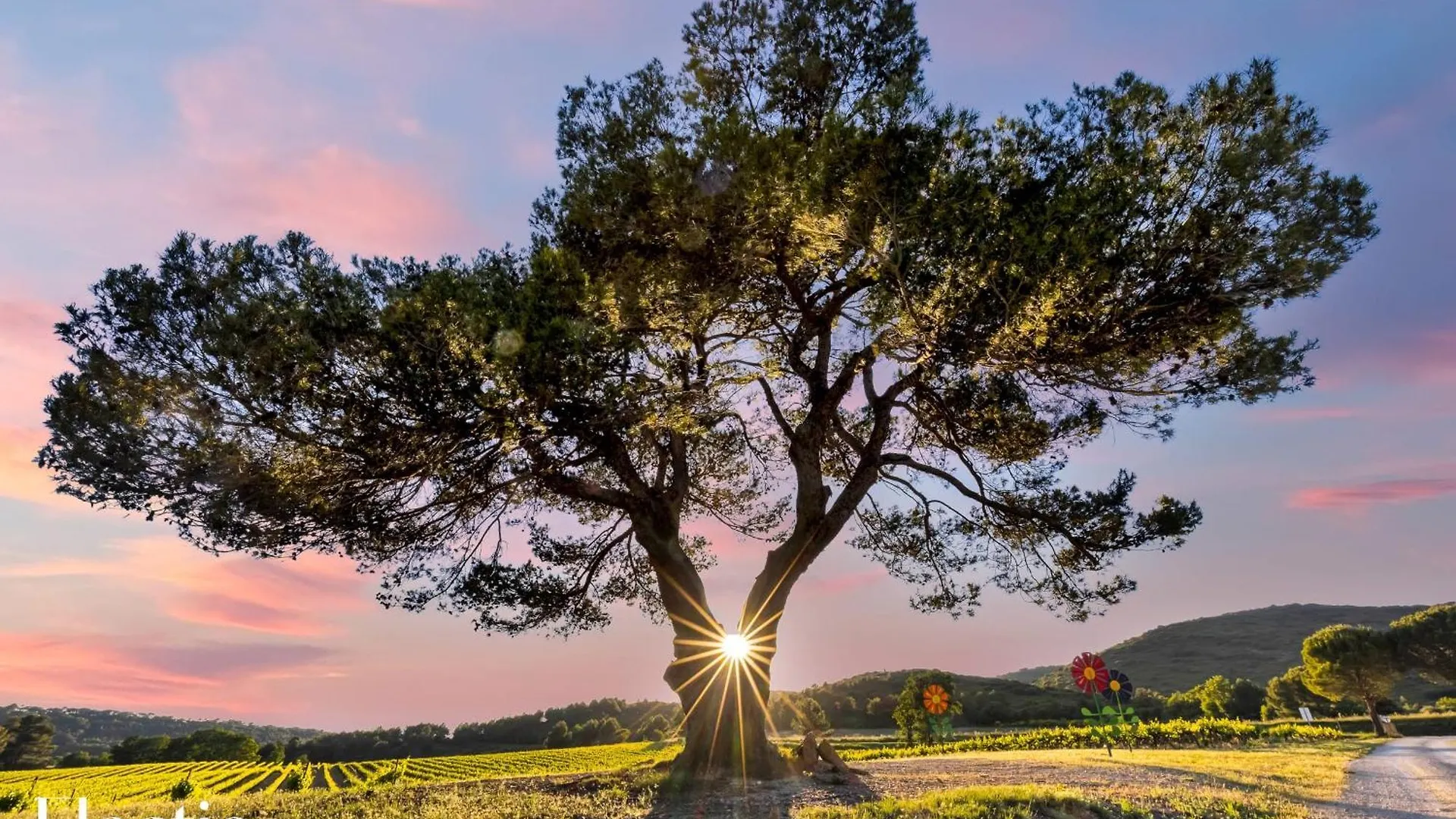 Bastide Domaine Tour Campanets Aparthotel Le Puy-Sainte-Reparade
