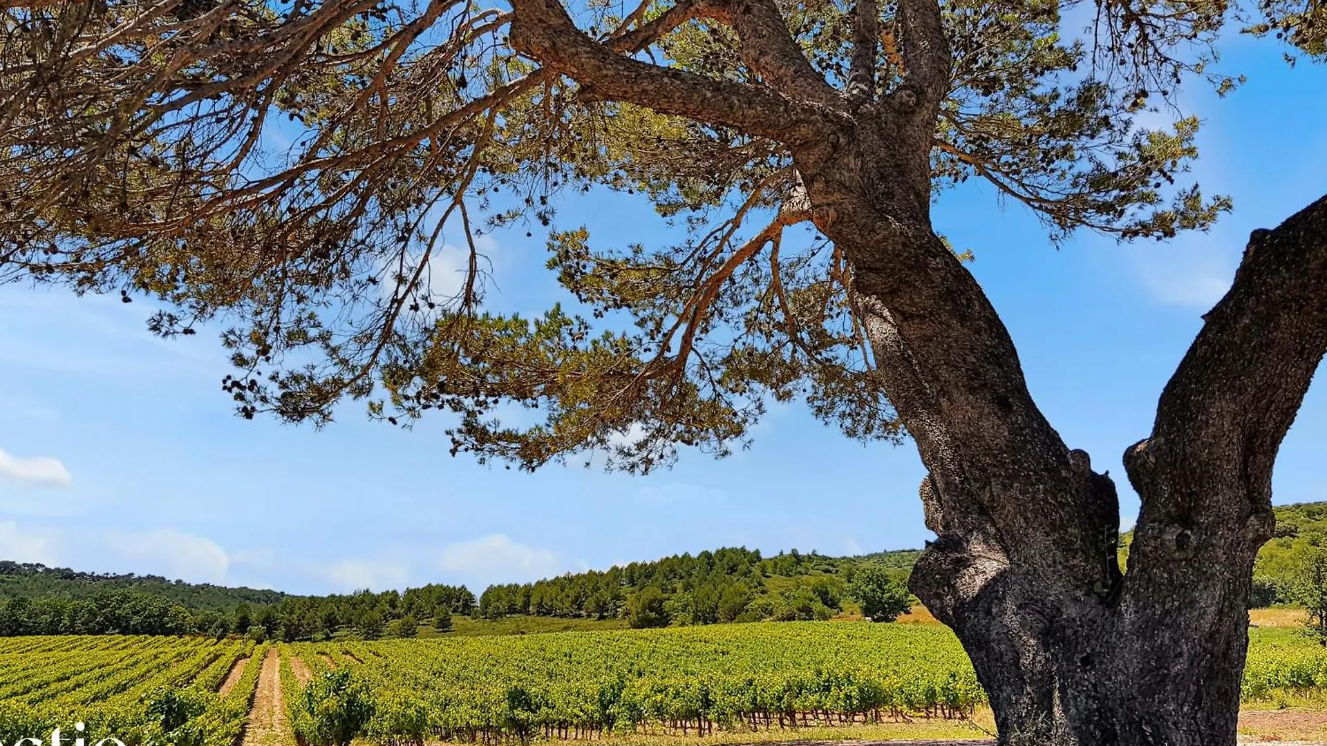 Bastide Domaine Tour Campanets Aparthotel Le Puy-Sainte-Reparade